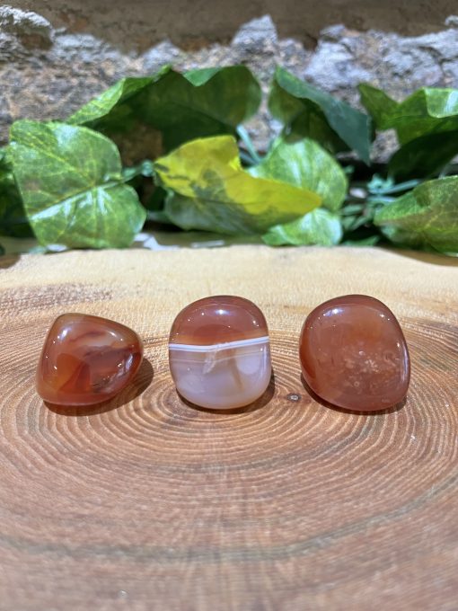 Carnelian Crystal Tumble 2cm