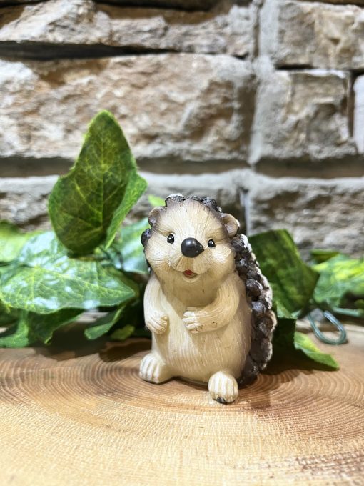 Pinecone Hedgehog Sitting