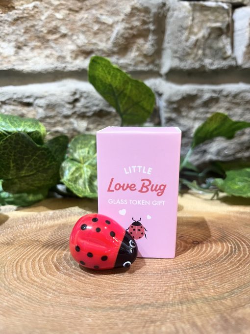 Little Love Bug Ladybird Token