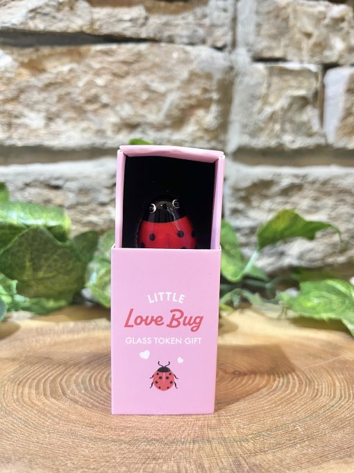 Little Love Bug Ladybird Token - Image 2